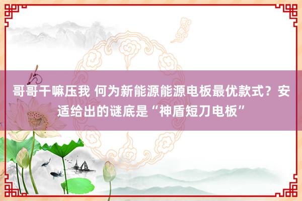 哥哥干嘛压我 何为新能源能源电板最优款式？安适给出的谜底是“神盾短刀电板”