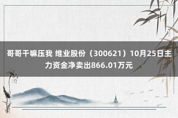 哥哥干嘛压我 维业股份（300621）10月25日主力资金净卖出866.01万元