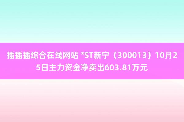 插插插综合在线网站 *ST新宁（300013）10月25日主力资金净卖出603.81万元