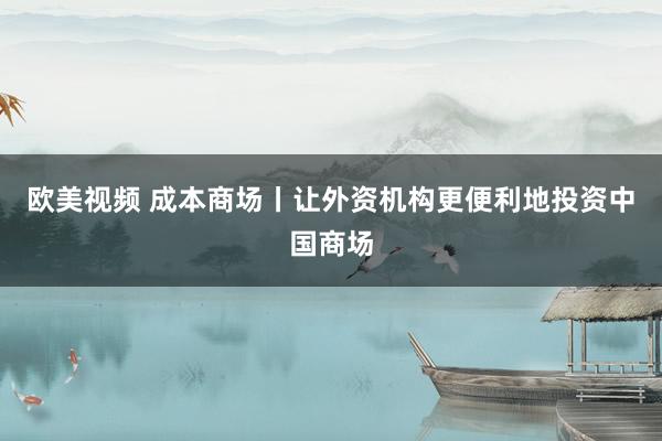 欧美视频 成本商场丨让外资机构更便利地投资中国商场