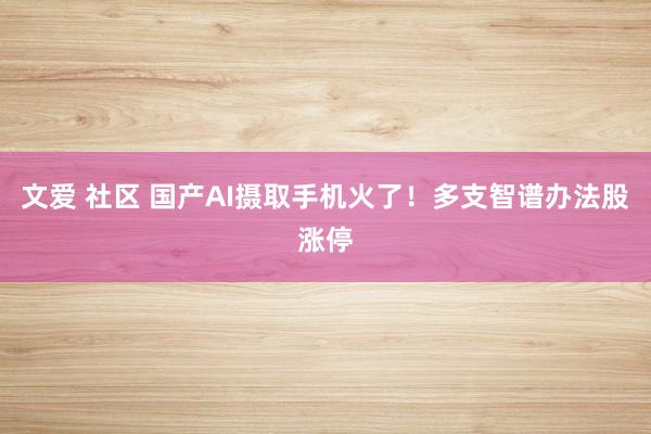 文爱 社区 国产AI摄取手机火了！多支智谱办法股涨停