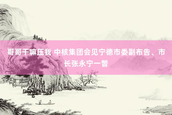 哥哥干嘛压我 中核集团会见宁德市委副布告、市长张永宁一瞥