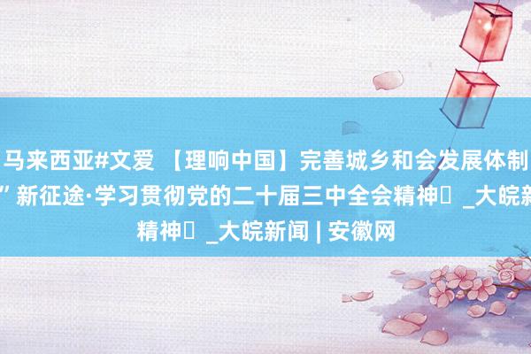 马来西亚#文爱 【理响中国】完善城乡和会发展体制机制 漫“话”新征途·学习贯彻党的二十届三中全会精神㉓_大皖新闻 | 安徽网