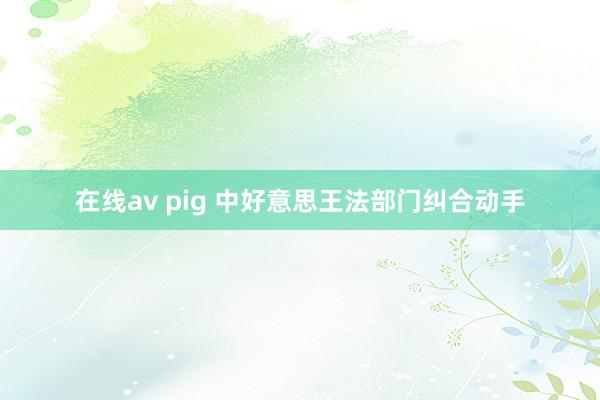 在线av pig 中好意思王法部门纠合动手