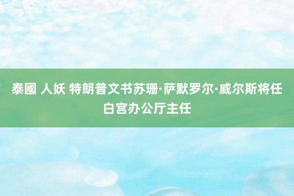 泰國 人妖 特朗普文书苏珊·萨默罗尔·威尔斯将任白宫办公厅主任