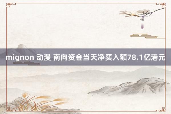 mignon 动漫 南向资金当天净买入额78.1亿港元