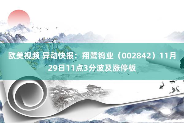 欧美视频 异动快报：翔鹭钨业（002842）11月29日11点3分波及涨停板