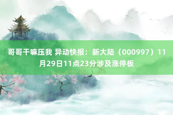 哥哥干嘛压我 异动快报：新大陆（000997）11月29日11点23分涉及涨停板
