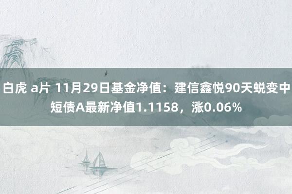 白虎 a片 11月29日基金净值：建信鑫悦90天蜕变中短债A最新净值1.1158，涨0.06%