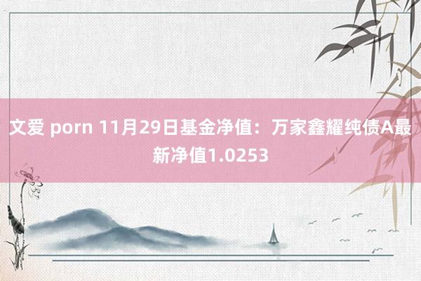 文爱 porn 11月29日基金净值：万家鑫耀纯债A最新净值1.0253