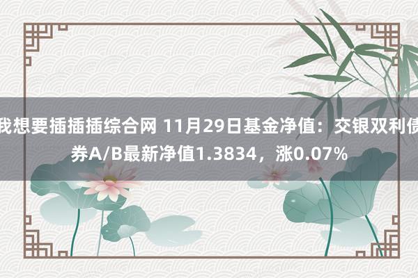 我想要插插插综合网 11月29日基金净值：交银双利债券A/B最新净值1.3834，涨0.07%