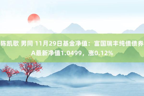 陈凯歌 男同 11月29日基金净值：富国瑞丰纯债债券A最新净值1.0499，涨0.12%