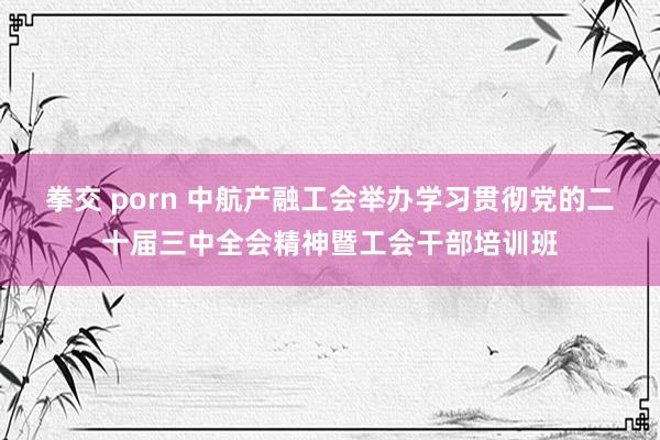 拳交 porn 中航产融工会举办学习贯彻党的二十届三中全会精神暨工会干部培训班