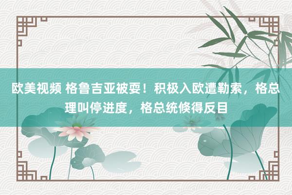 欧美视频 格鲁吉亚被耍！积极入欧遭勒索，格总理叫停进度，格总统倏得反目