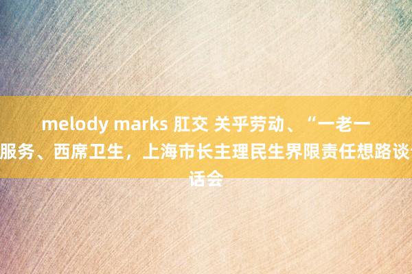melody marks 肛交 关乎劳动、“一老一小”服务、西席卫生，上海市长主理民生界限责任想路谈话会