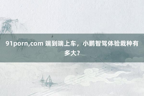 91porn，com 端到端上车，小鹏智驾体验栽种有多大？