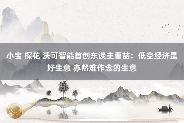 小宝 探花 沃可智能首创东谈主曹喆：低空经济是好生意 亦然难作念的生意