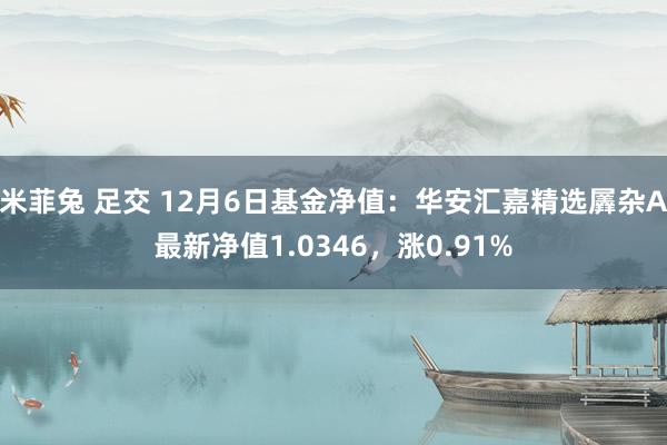 米菲兔 足交 12月6日基金净值：华安汇嘉精选羼杂A最新净值1.0346，涨0.91%