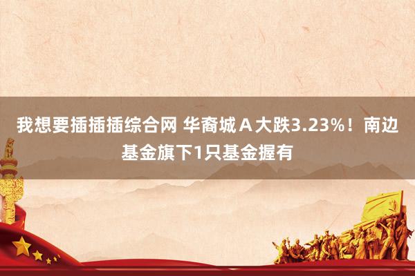 我想要插插插综合网 华裔城Ａ大跌3.23%！南边基金旗下1只基金握有