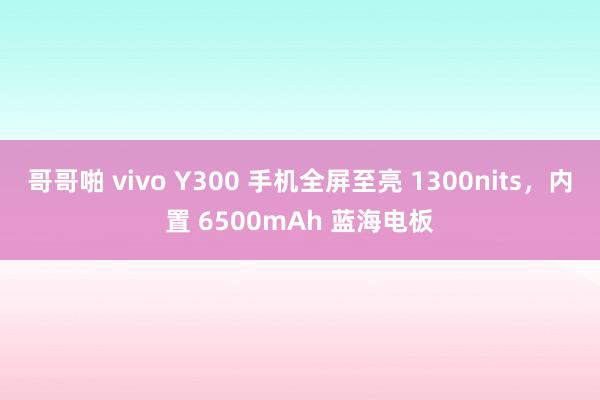 哥哥啪 vivo Y300 手机全屏至亮 1300nits，内置 6500mAh 蓝海电板