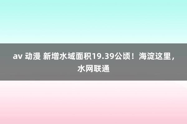 av 动漫 新增水域面积19.39公顷！海淀这里，水网联通