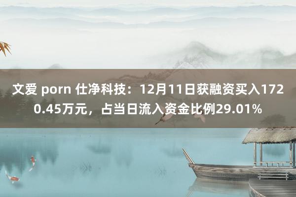 文爱 porn 仕净科技：12月11日获融资买入1720.45万元，占当日流入资金比例29.01%