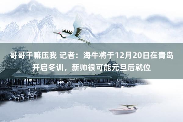 哥哥干嘛压我 记者：海牛将于12月20日在青岛开启冬训，新帅很可能元旦后就位