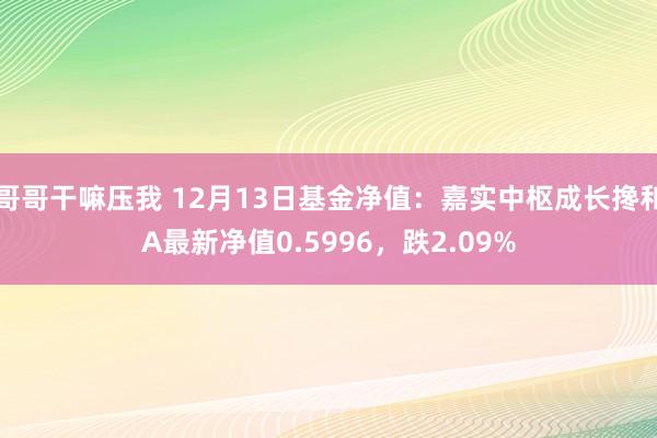 哥哥干嘛压我 12月13日基金净值：嘉实中枢成长搀和A最新净值0.5996，跌2.09%