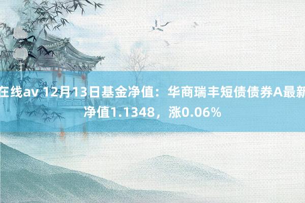 在线av 12月13日基金净值：华商瑞丰短债债券A最新净值1.1348，涨0.06%