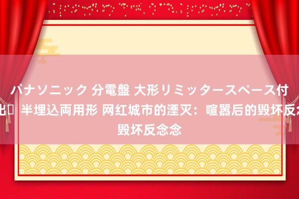 パナソニック 分電盤 大形リミッタースペース付 露出・半埋込両用形 网红城市的湮灭：喧嚣后的毁坏反念念