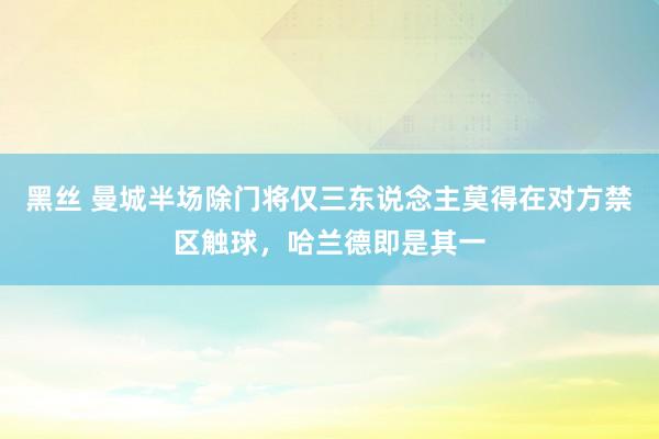 黑丝 曼城半场除门将仅三东说念主莫得在对方禁区触球，哈兰德即是其一