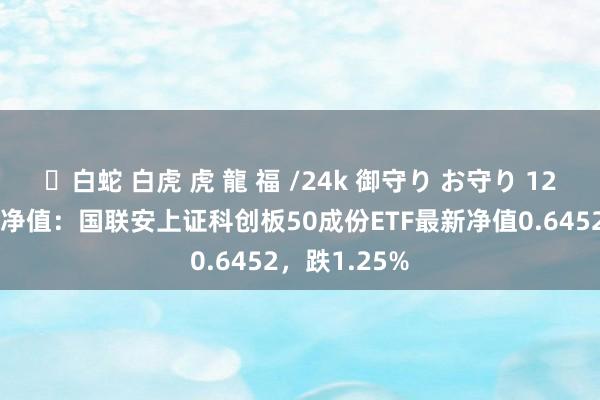 ✨白蛇 白虎 虎 龍 福 /24k 御守り お守り 12月23日基金净值：国联安上证科创板50成份ETF最新净值0.6452，跌1.25%