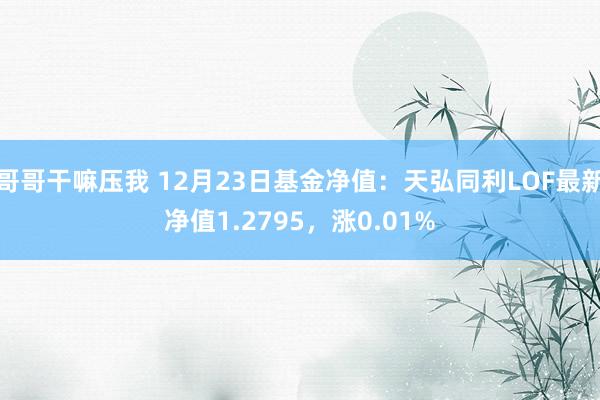 哥哥干嘛压我 12月23日基金净值：天弘同利LOF最新净值1.2795，涨0.01%