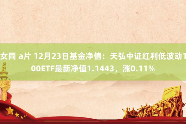 女同 a片 12月23日基金净值：天弘中证红利低波动100ETF最新净值1.1443，涨0.11%
