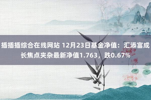 插插插综合在线网站 12月23日基金净值：汇添富成长焦点夹杂最新净值1.763，跌0.67%