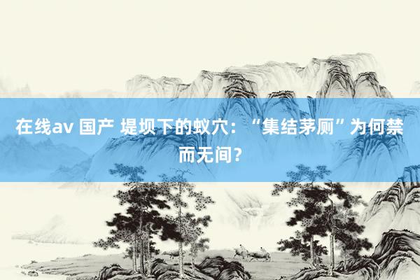 在线av 国产 堤坝下的蚁穴：“集结茅厕”为何禁而无间？