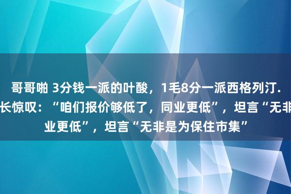 哥哥啪 3分钱一派的叶酸，1毛8分一派西格列汀......有药企董事长惊叹：“咱们报价够低了，同业更低”，坦言“无非是为保住市集”