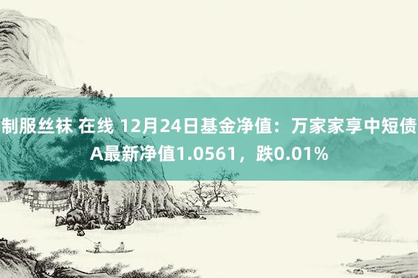 制服丝袜 在线 12月24日基金净值：万家家享中短债A最新净值1.0561，跌0.01%
