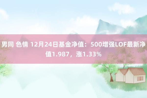 男同 色情 12月24日基金净值：500增强LOF最新净值1.987，涨1.33%