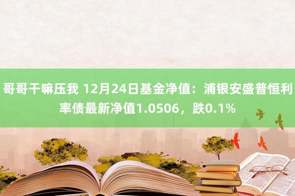 哥哥干嘛压我 12月24日基金净值：浦银安盛普恒利率债最新净值1.0506，跌0.1%