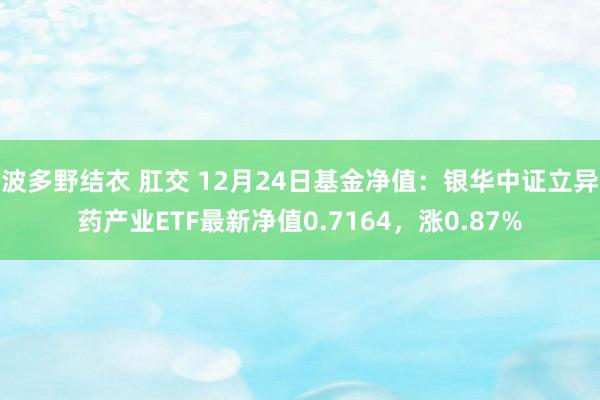 波多野结衣 肛交 12月24日基金净值：银华中证立异药产业ETF最新净值0.7164，涨0.87%
