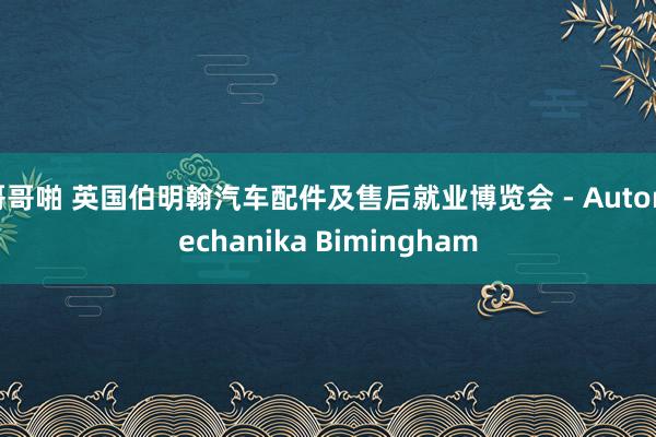 哥哥啪 英国伯明翰汽车配件及售后就业博览会 - Automechanika Bimingham