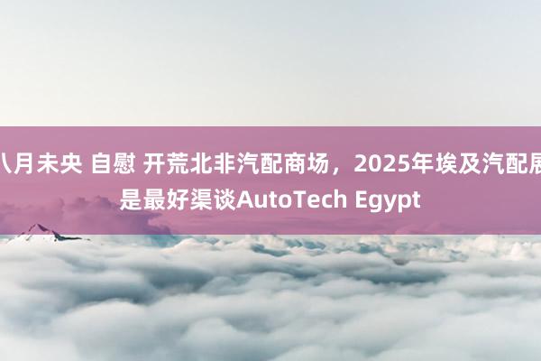 八月未央 自慰 开荒北非汽配商场，2025年埃及汽配展是最好渠谈AutoTech Egypt