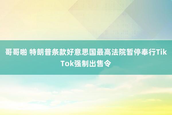 哥哥啪 特朗普条款好意思国最高法院暂停奉行TikTok强制出售令