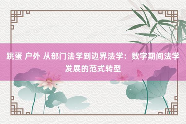跳蛋 户外 从部门法学到边界法学：数字期间法学发展的范式转型