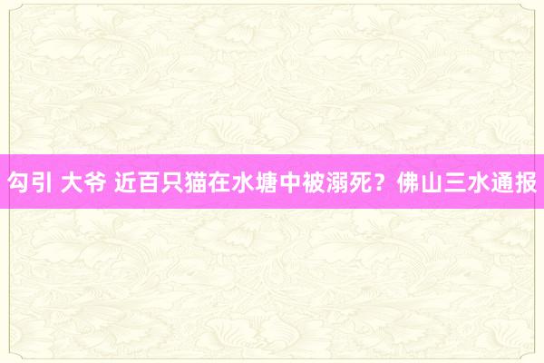 勾引 大爷 近百只猫在水塘中被溺死？佛山三水通报