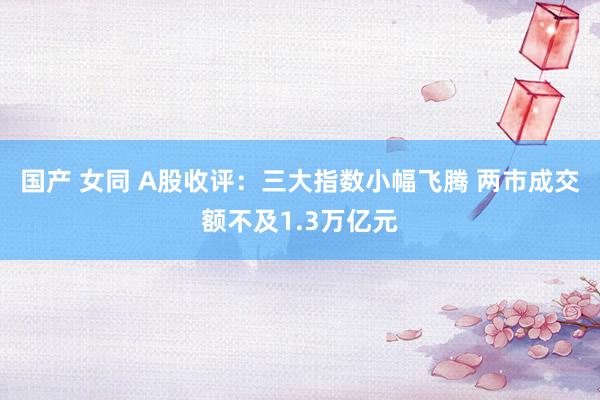 国产 女同 A股收评：三大指数小幅飞腾 两市成交额不及1.3万亿元