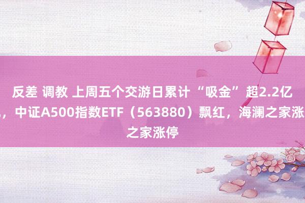 反差 调教 上周五个交游日累计 “吸金” 超2.2亿元，中证A500指数ETF（563880）飘红，海澜之家涨停