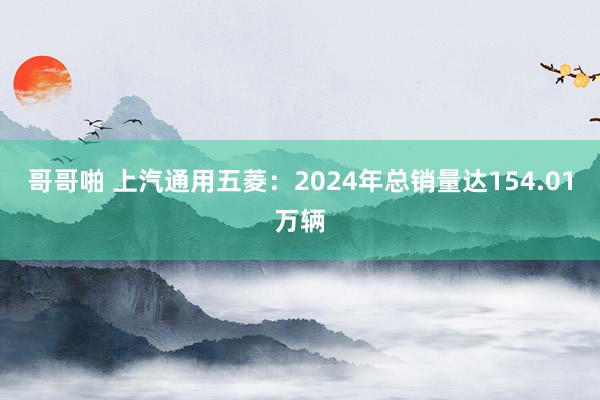 哥哥啪 上汽通用五菱：2024年总销量达154.01万辆