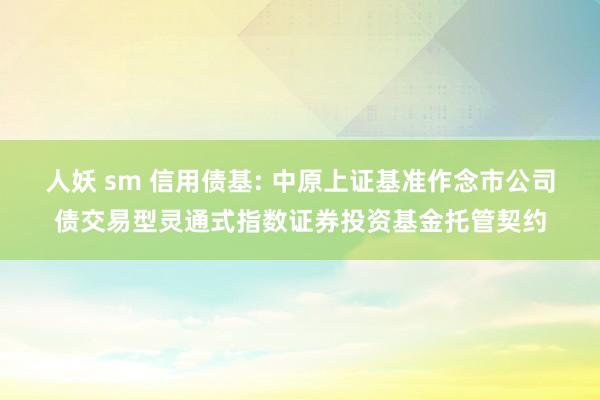 人妖 sm 信用债基: 中原上证基准作念市公司债交易型灵通式指数证券投资基金托管契约